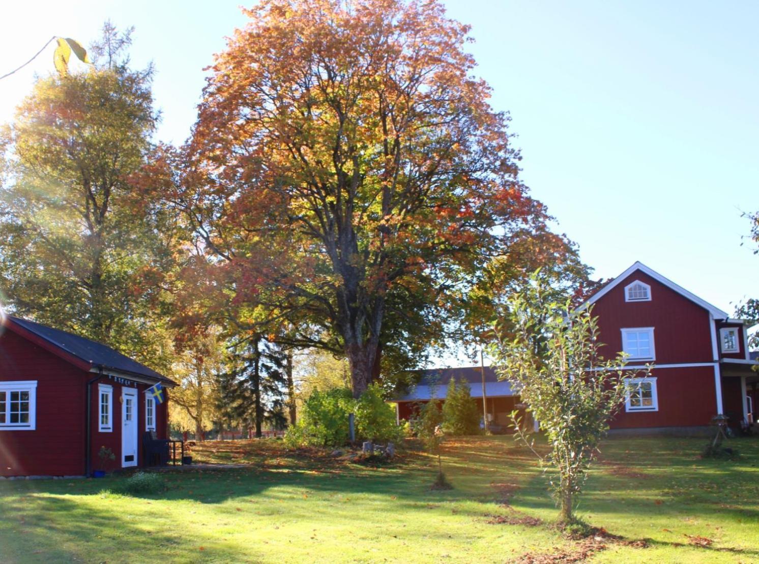 Stuga Gasstorp Hova Bagian luar foto